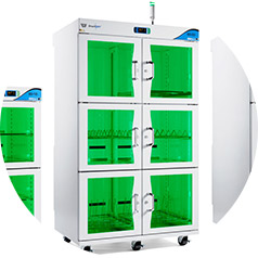 2018-home-Spotlight-ECD